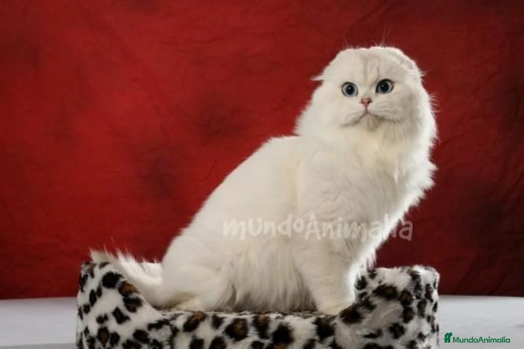 Imagen de galería {{count}}