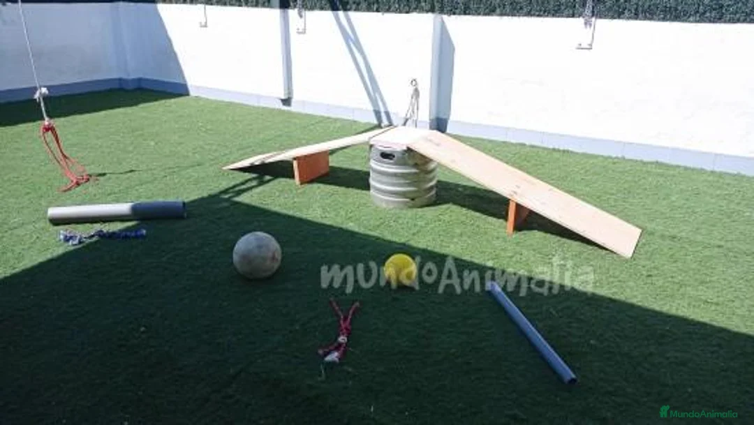 Imagen de galería {{count}}