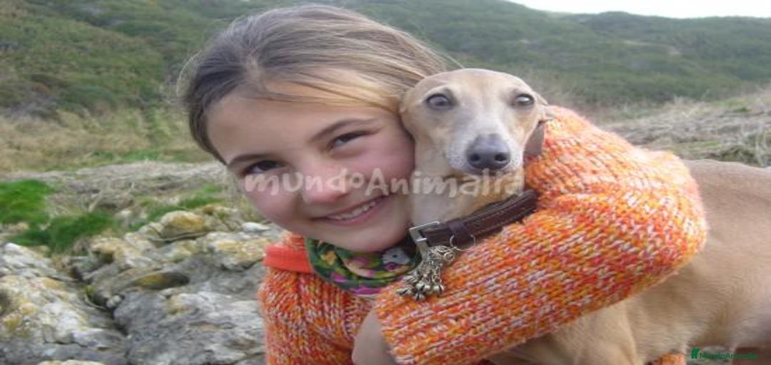 Imagen de galería {{count}}