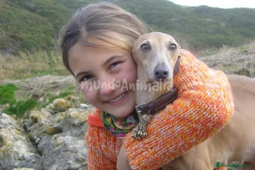 Imagen de galería {{count}}