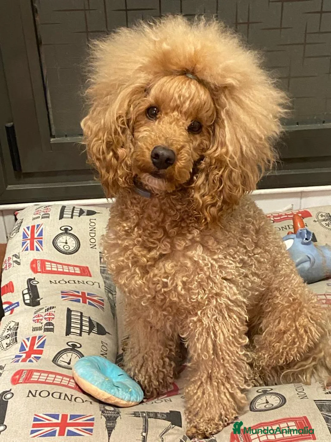 Imagen de galería {{count}}