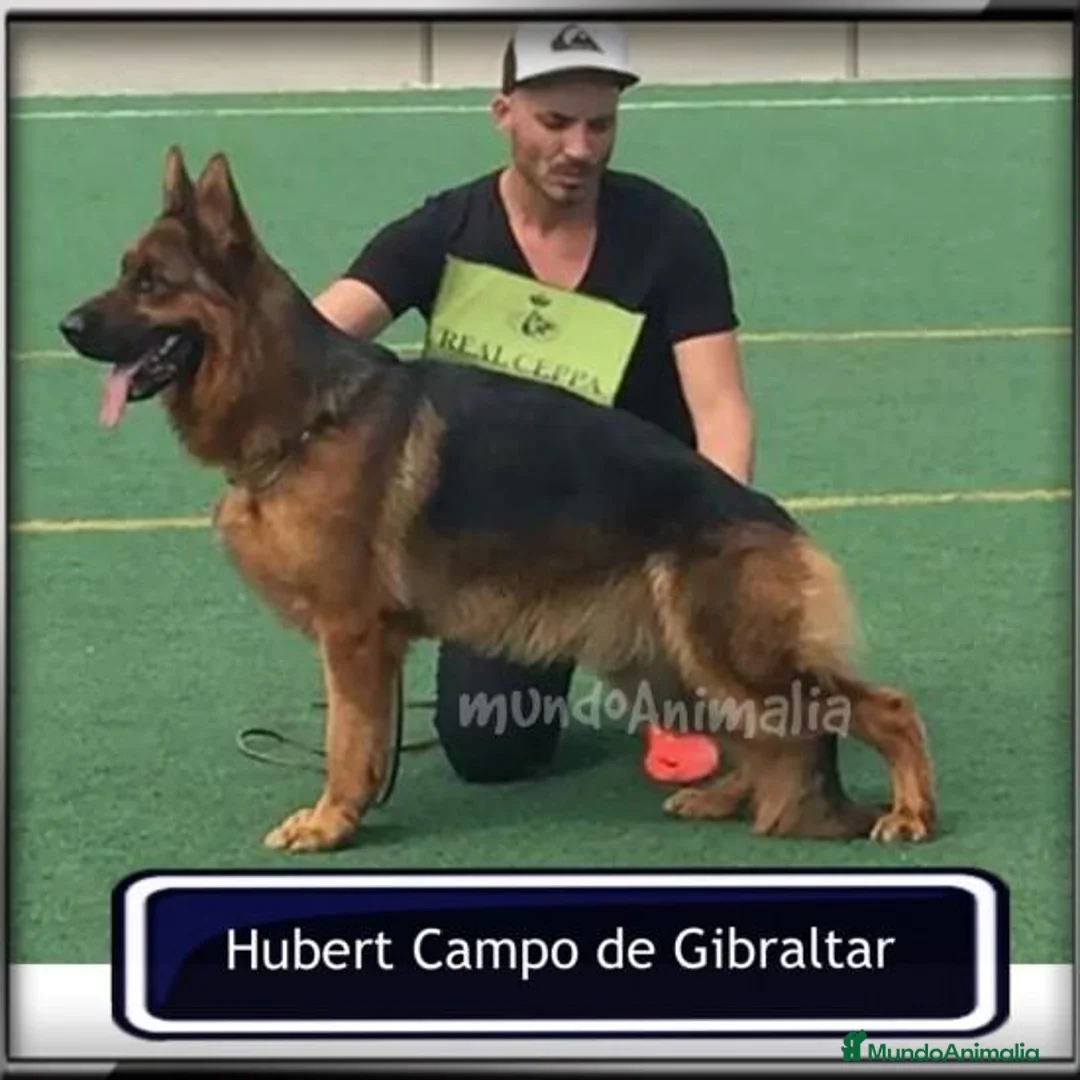 Imagen de galería {{count}}