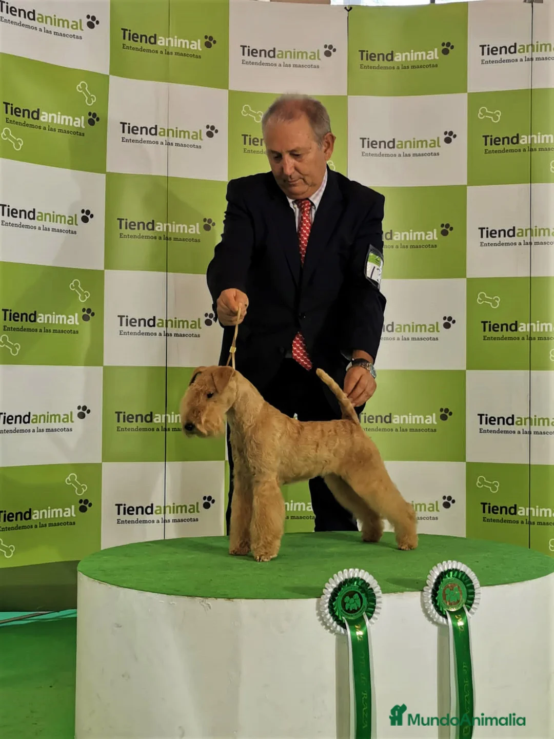 Imagen de galería {{count}}