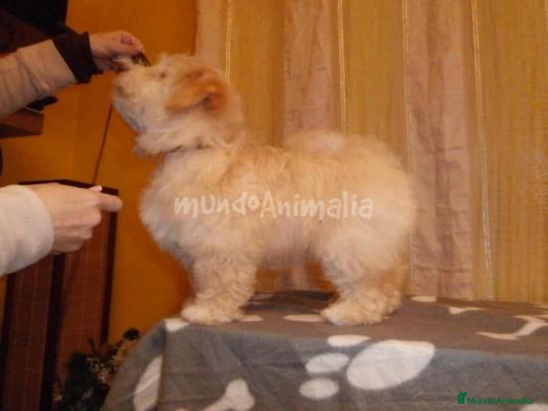 Imagen de galería {{count}}