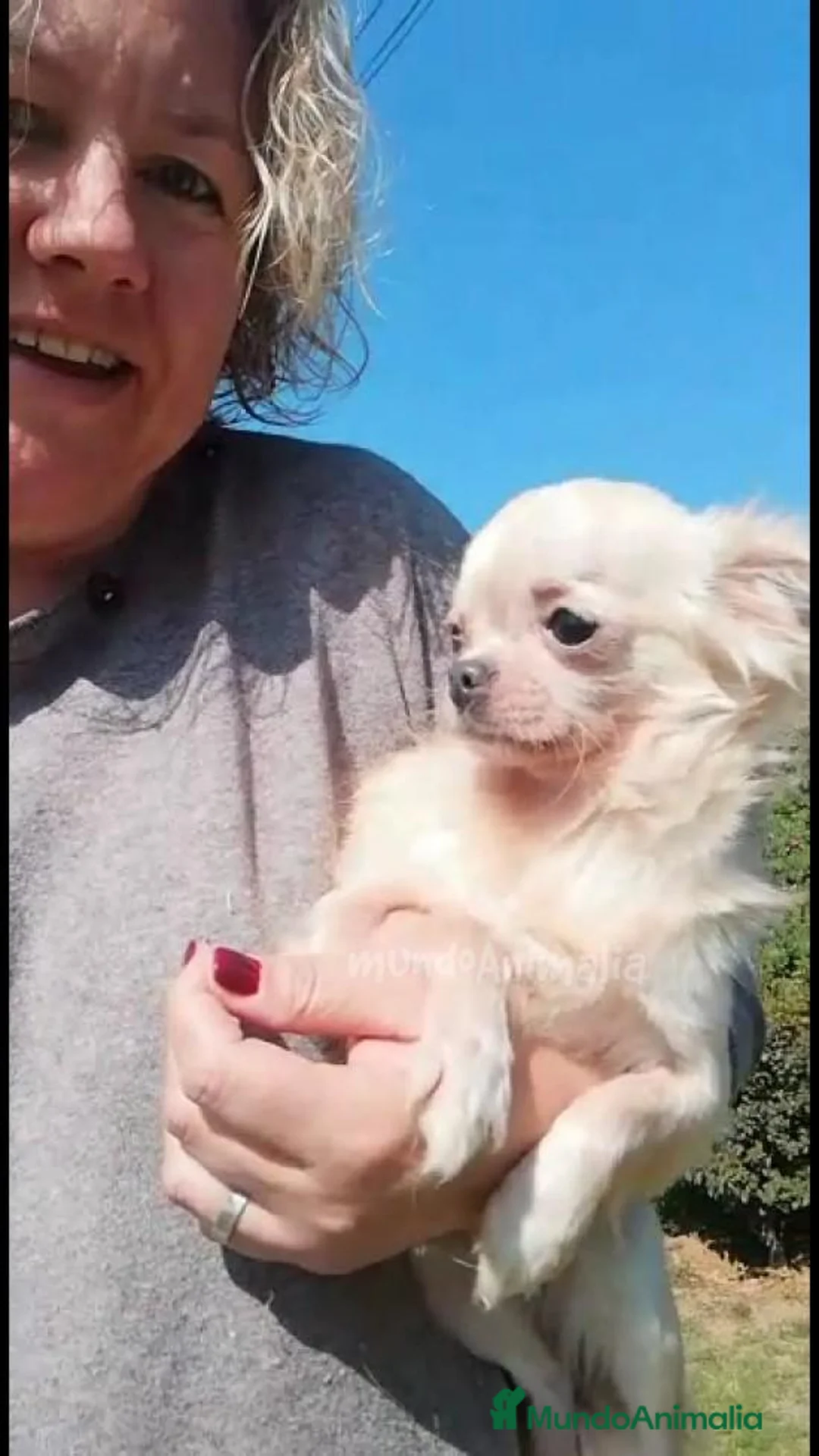 Imagen de galería {{count}}