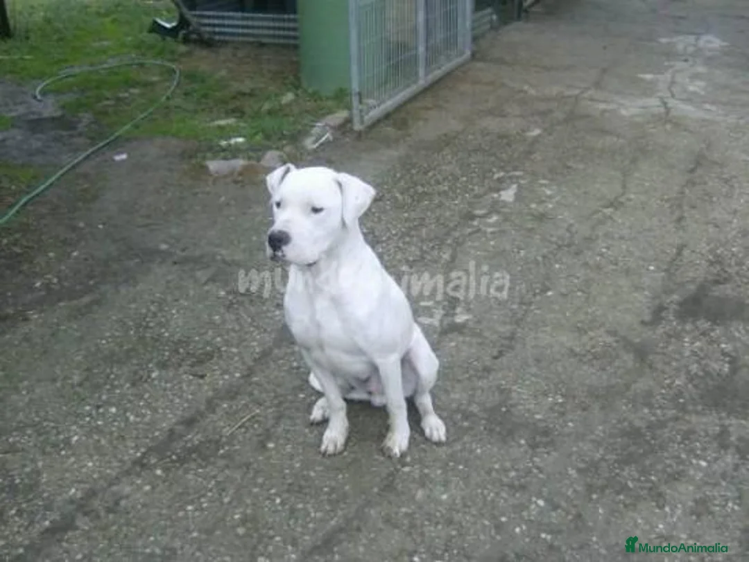 Imagen de galería {{count}}