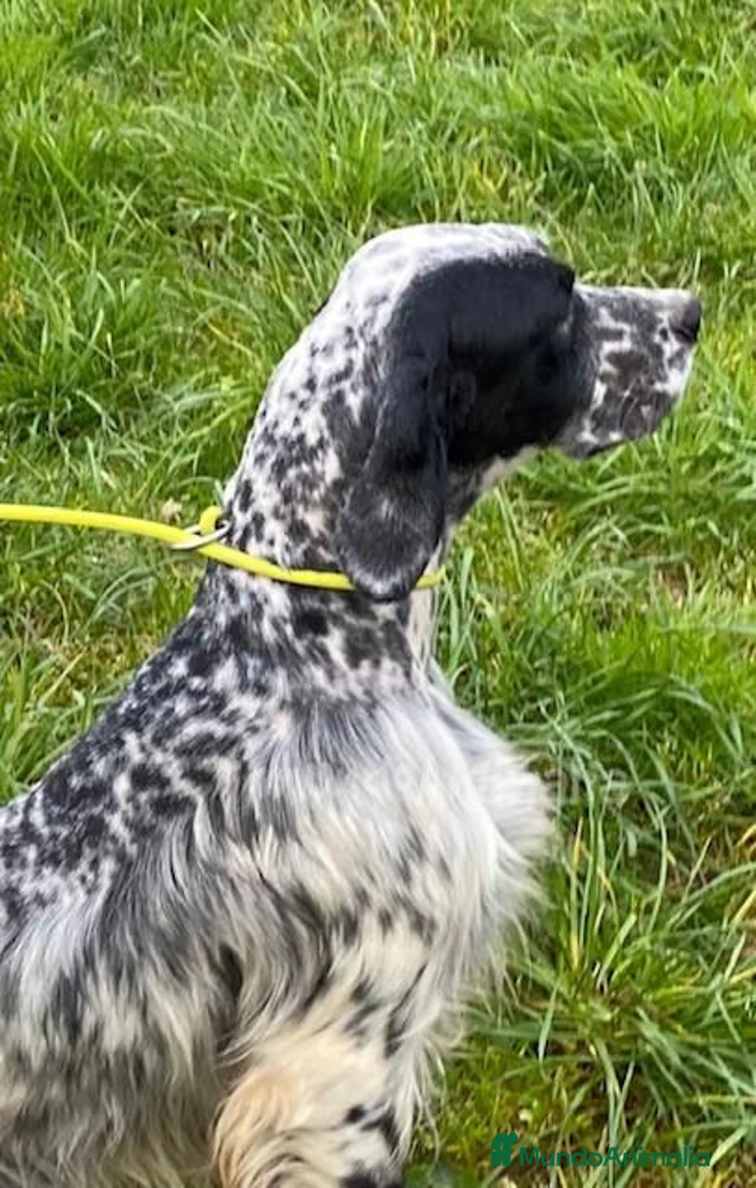 Imagen de galería {{count}}