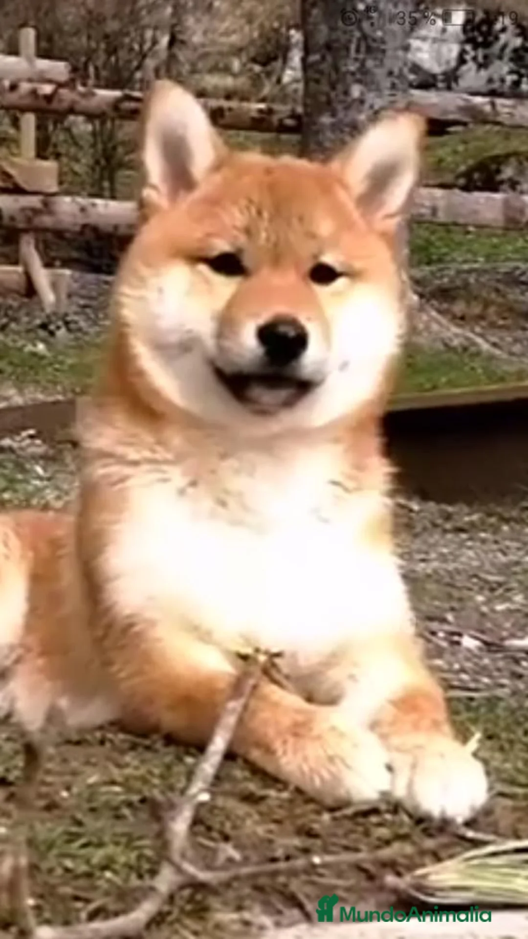 Imagen de galería {{count}}