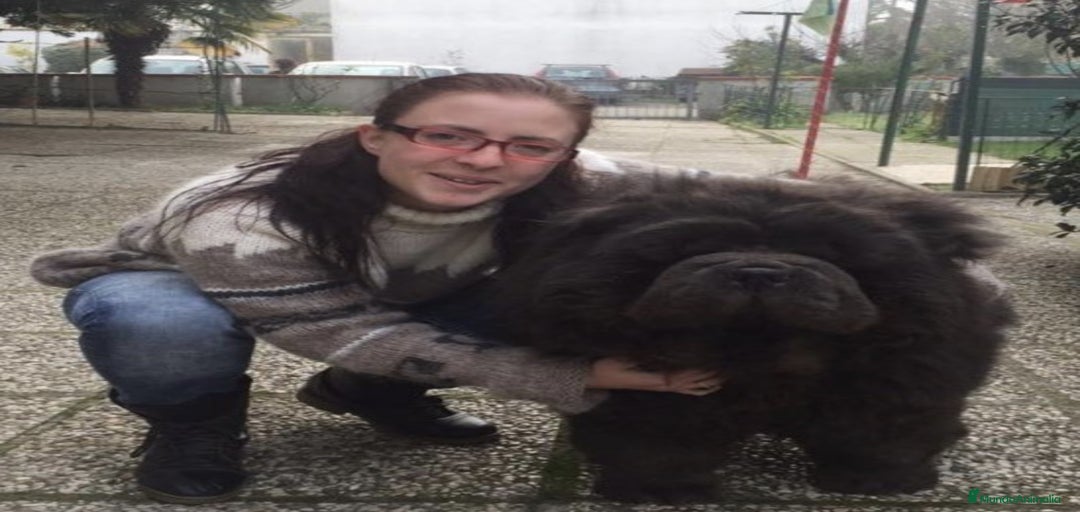 Imagen de galería {{count}}