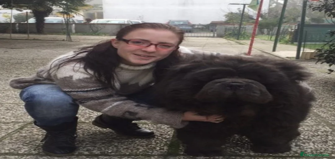 Imagen de galería {{count}}