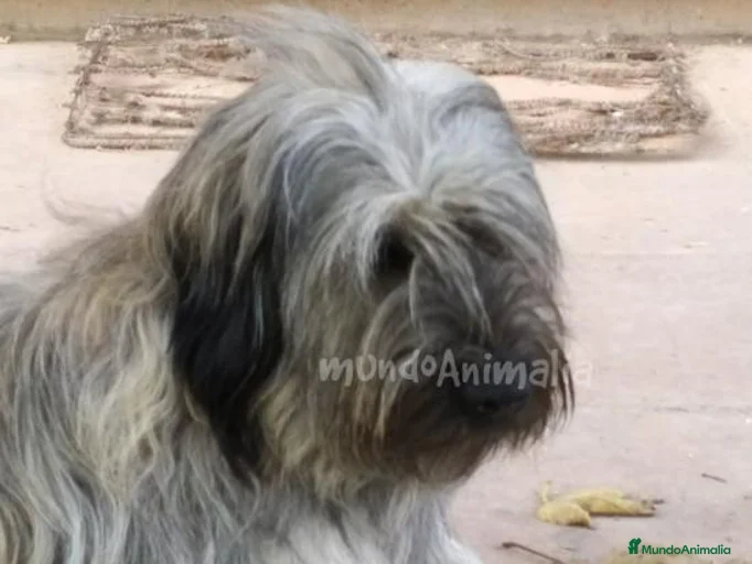 Imagen de galería {{count}}