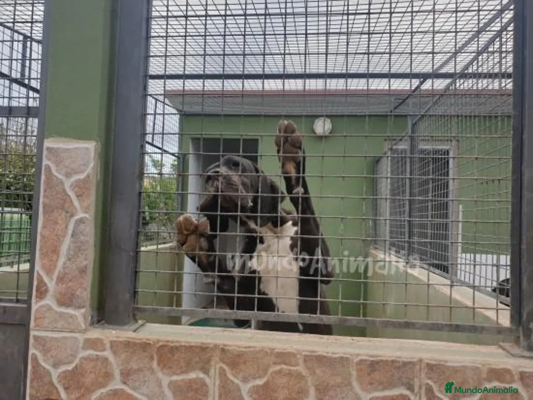 Imagen de galería {{count}}