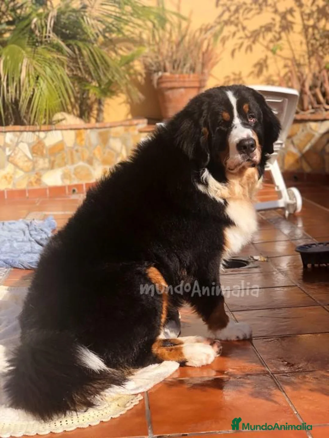 Imagen de galería {{count}}