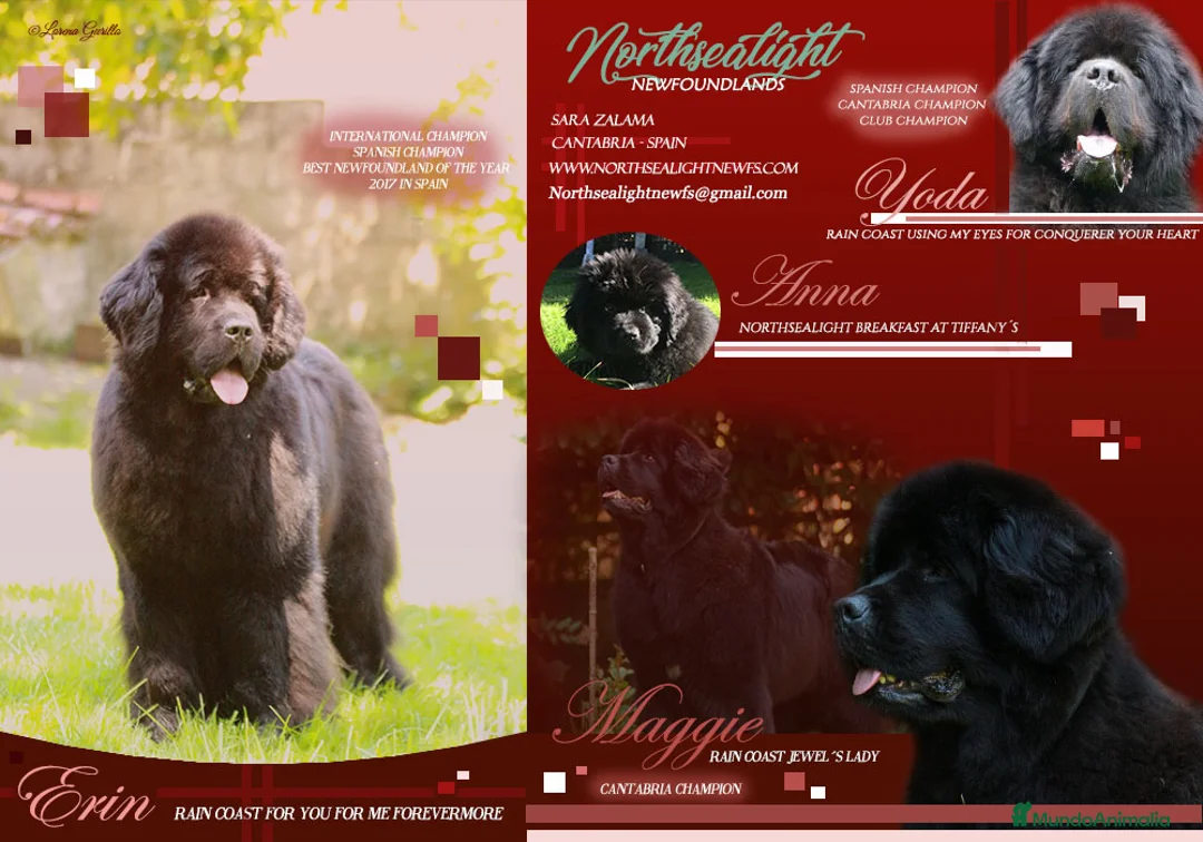 Imagen de galería {{count}}