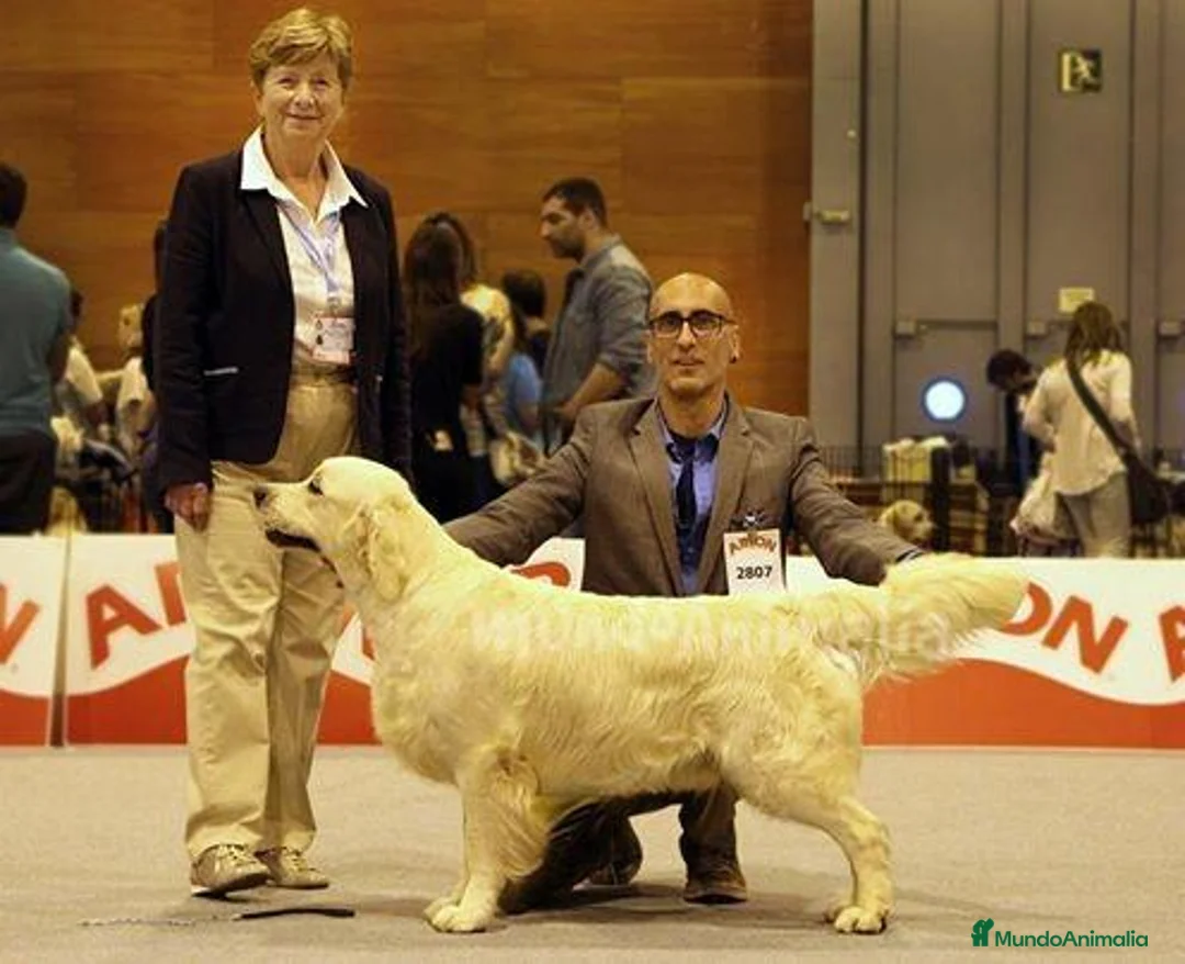 Imagen de galería {{count}}