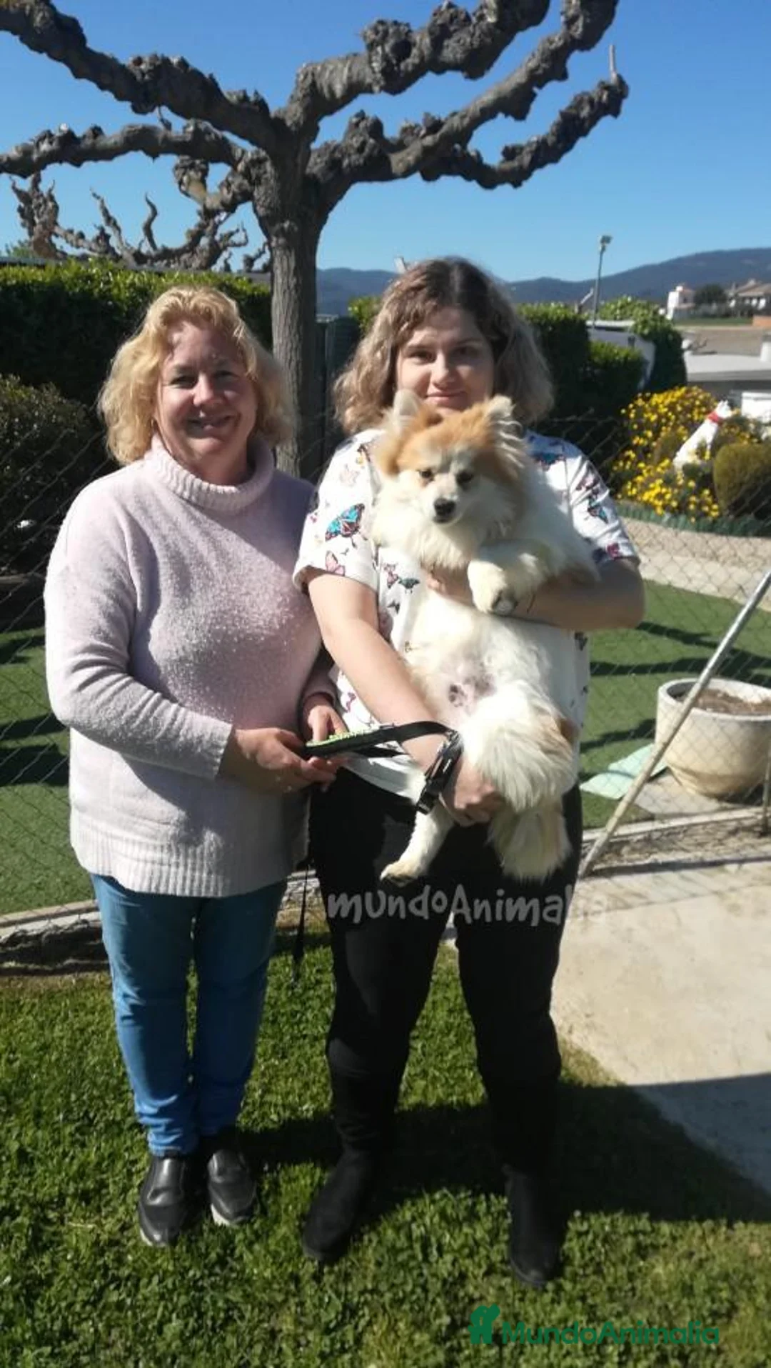 Imagen de galería {{count}}