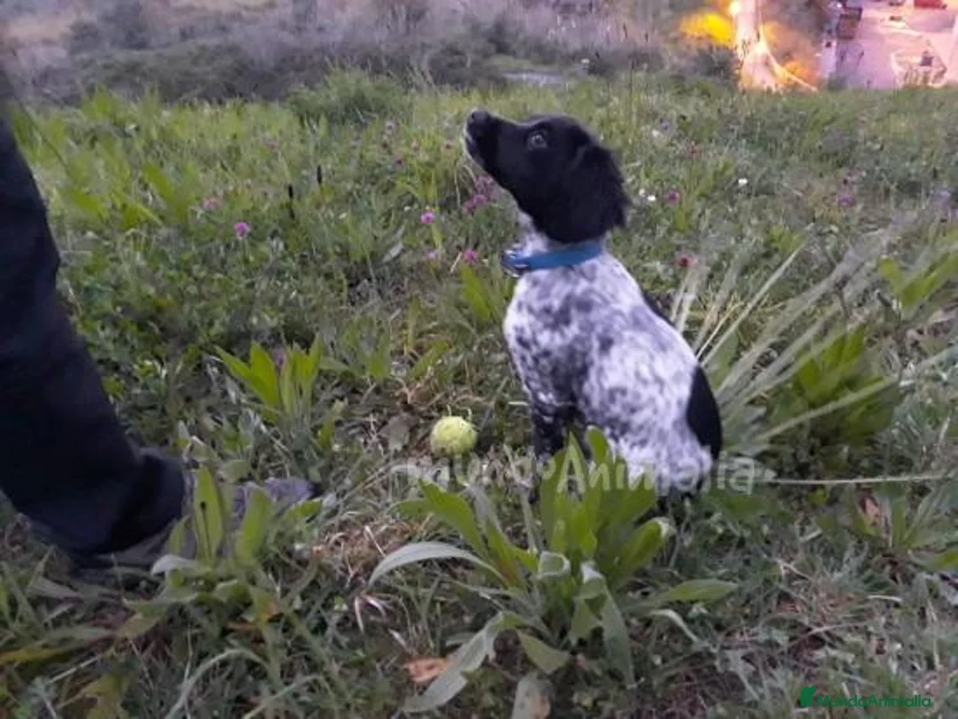 Imagen de galería {{count}}