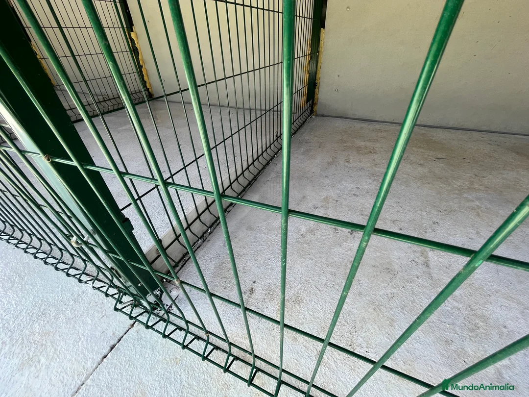 Imagen de galería {{count}}