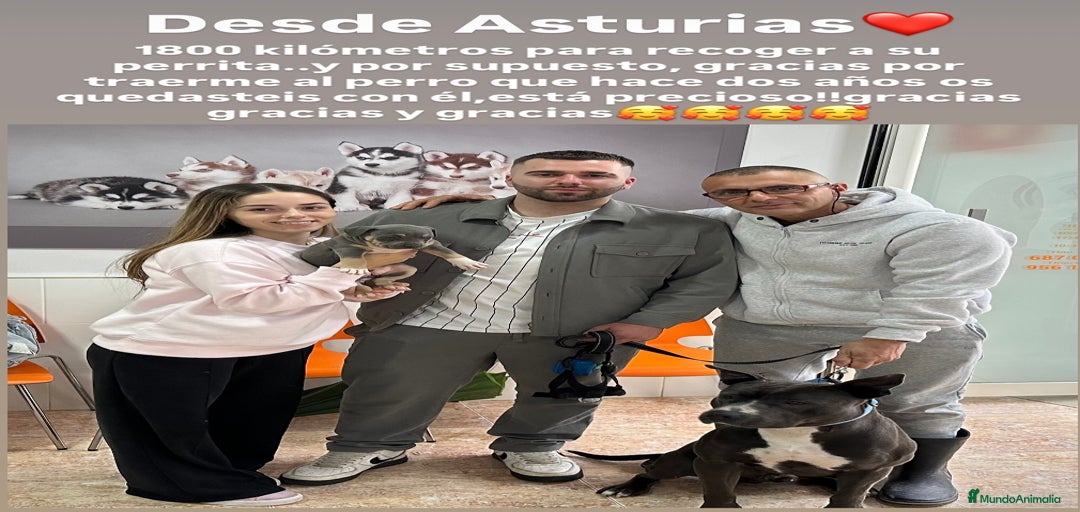 Imagen de galería {{count}}