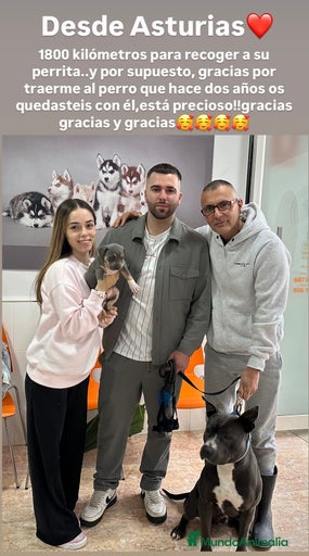 Imagen de galería {{count}}