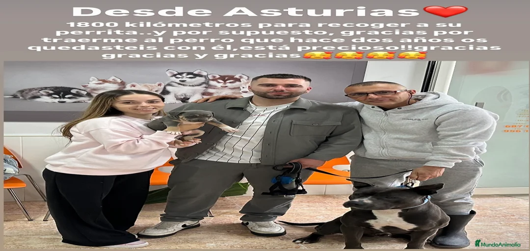 Imagen de galería {{count}}