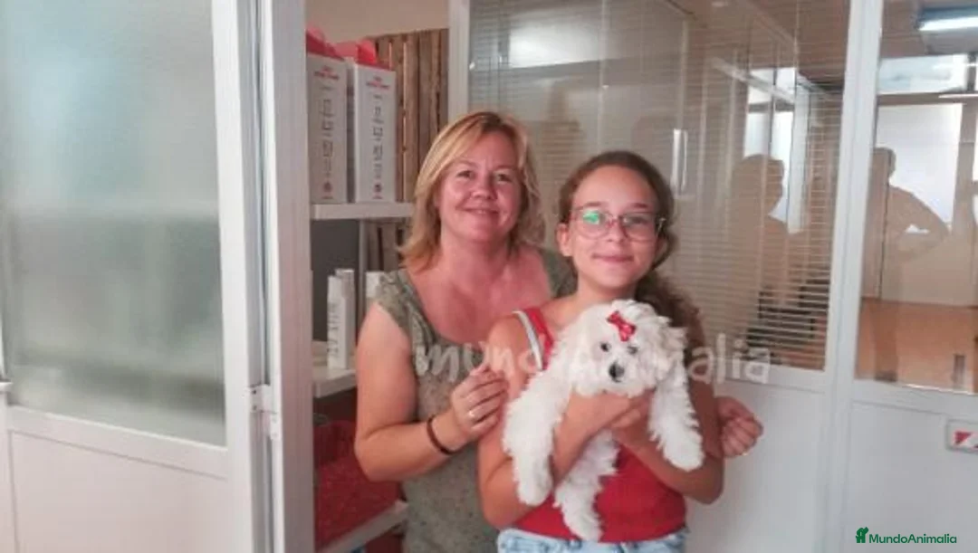 Imagen de galería {{count}}