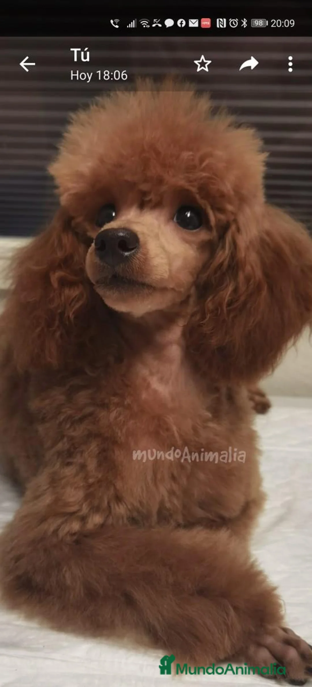 Imagen de galería {{count}}