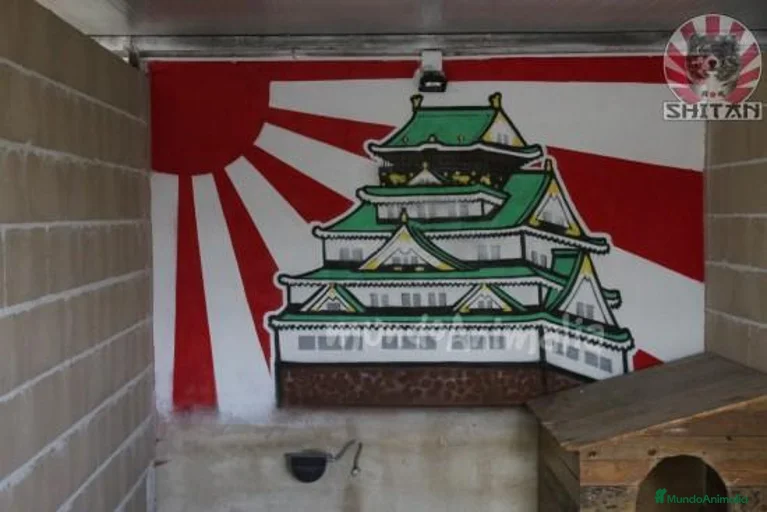 Imagen de galería {{count}}