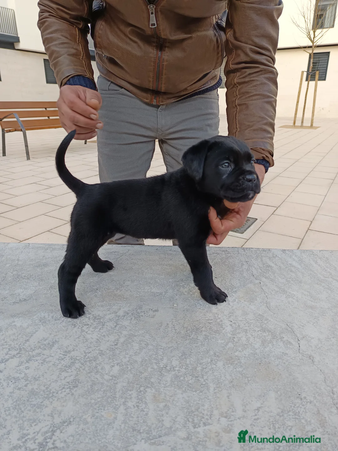 Imagen de galería {{count}}