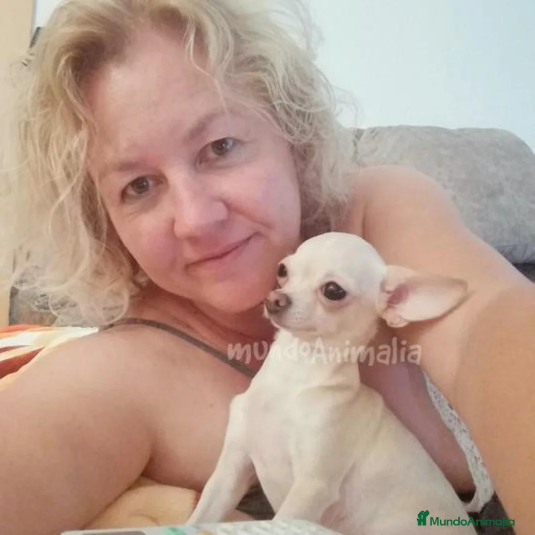 Imagen de galería {{count}}