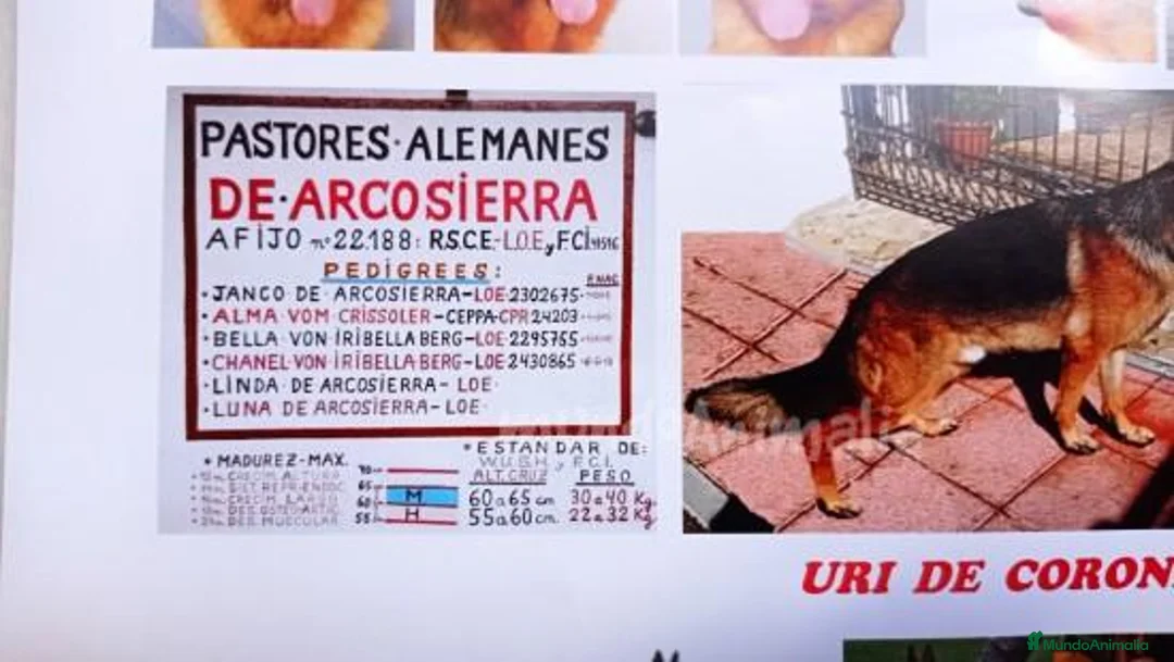 Imagen de galería {{count}}