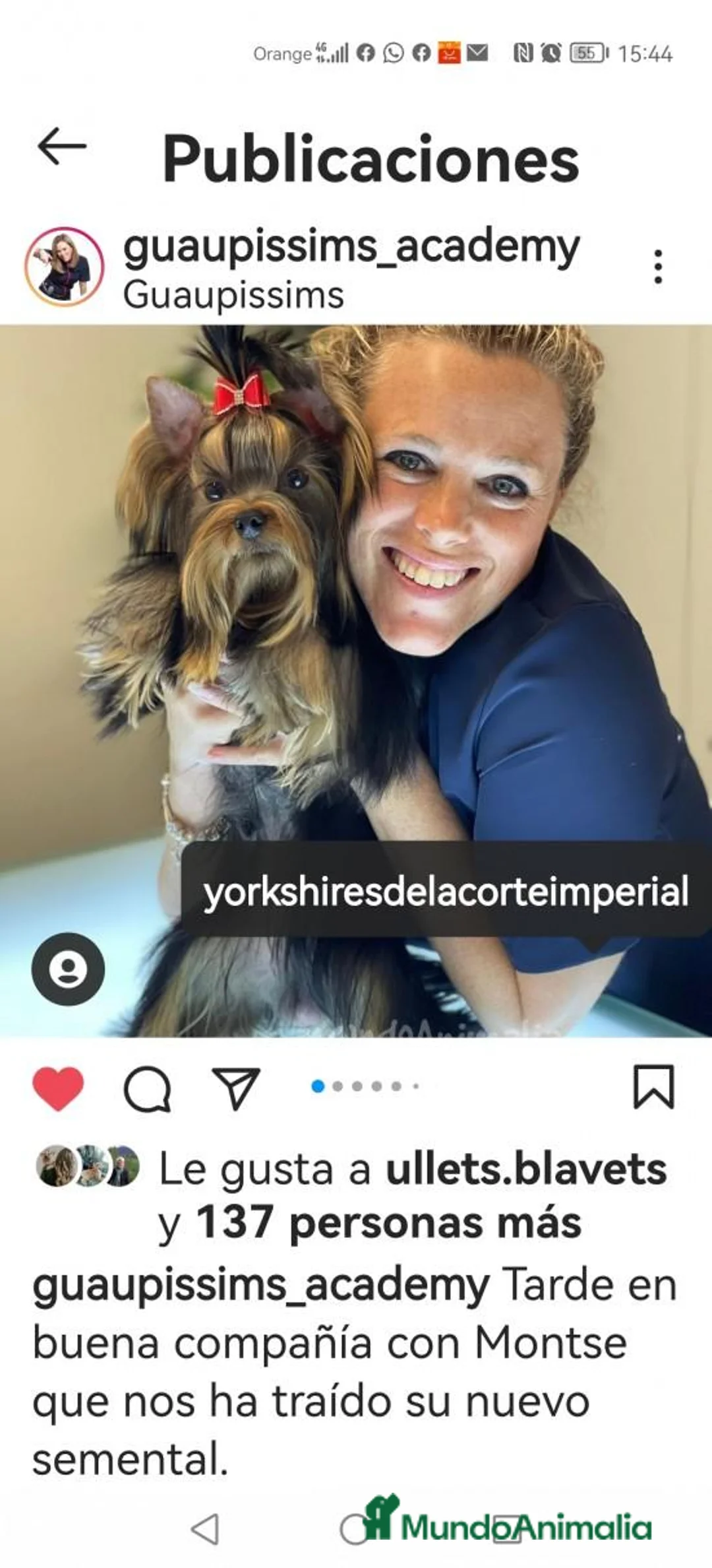 Imagen de galería {{count}}