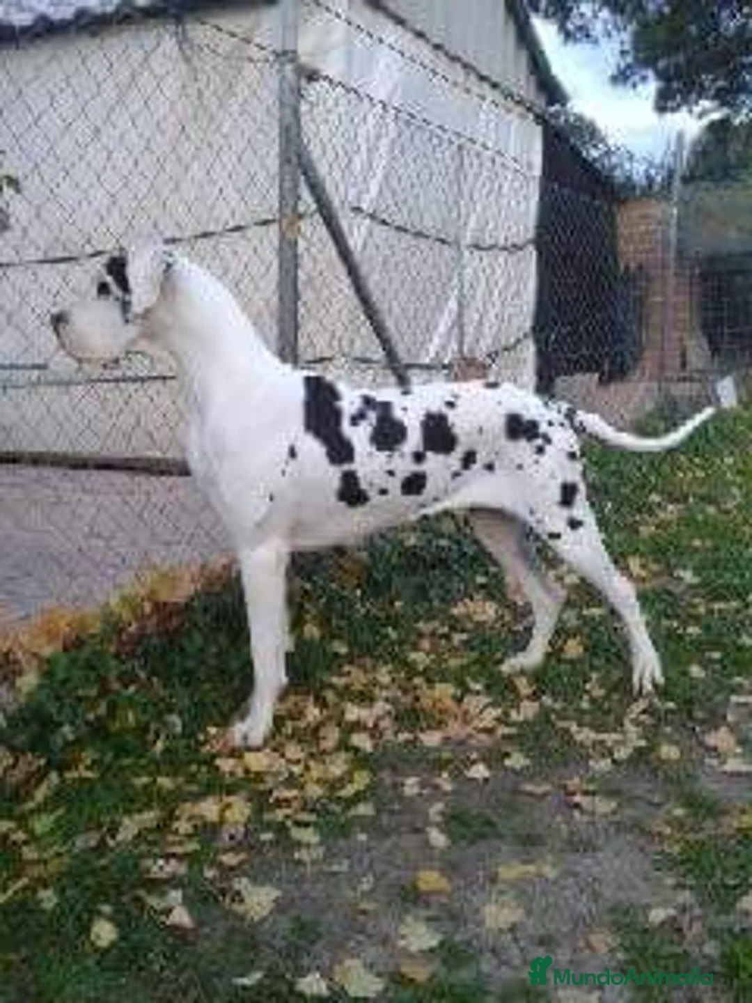 Imagen de galería {{count}}