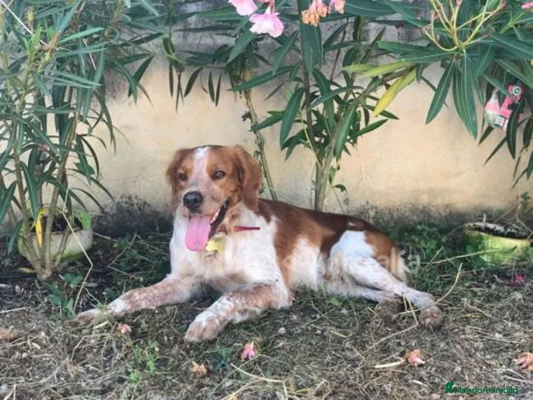 Imagen de galería {{count}}