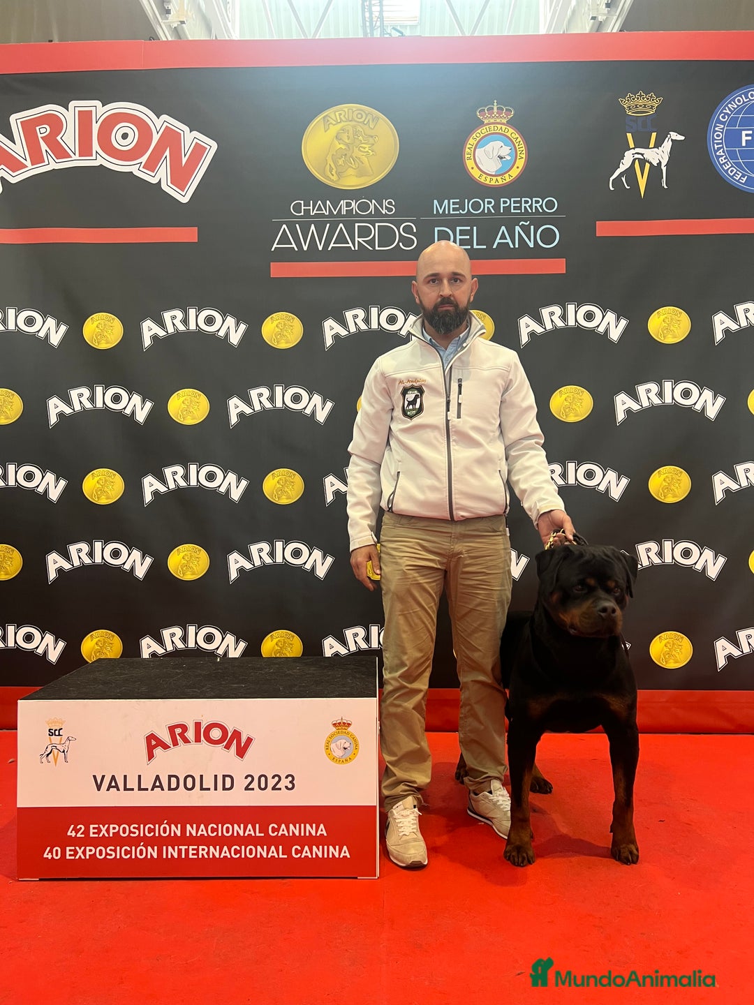 Rottweiler perros para monta: Rottweiler para montas - Anuncio 6