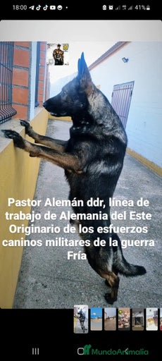 Imagen de galería {{count}}