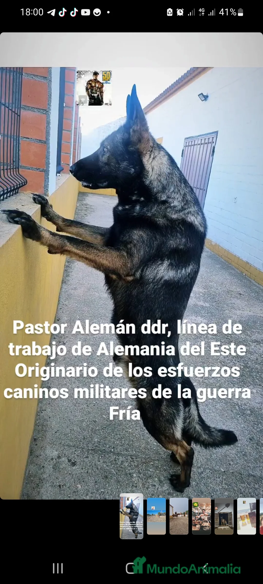 Imagen de galería {{count}}