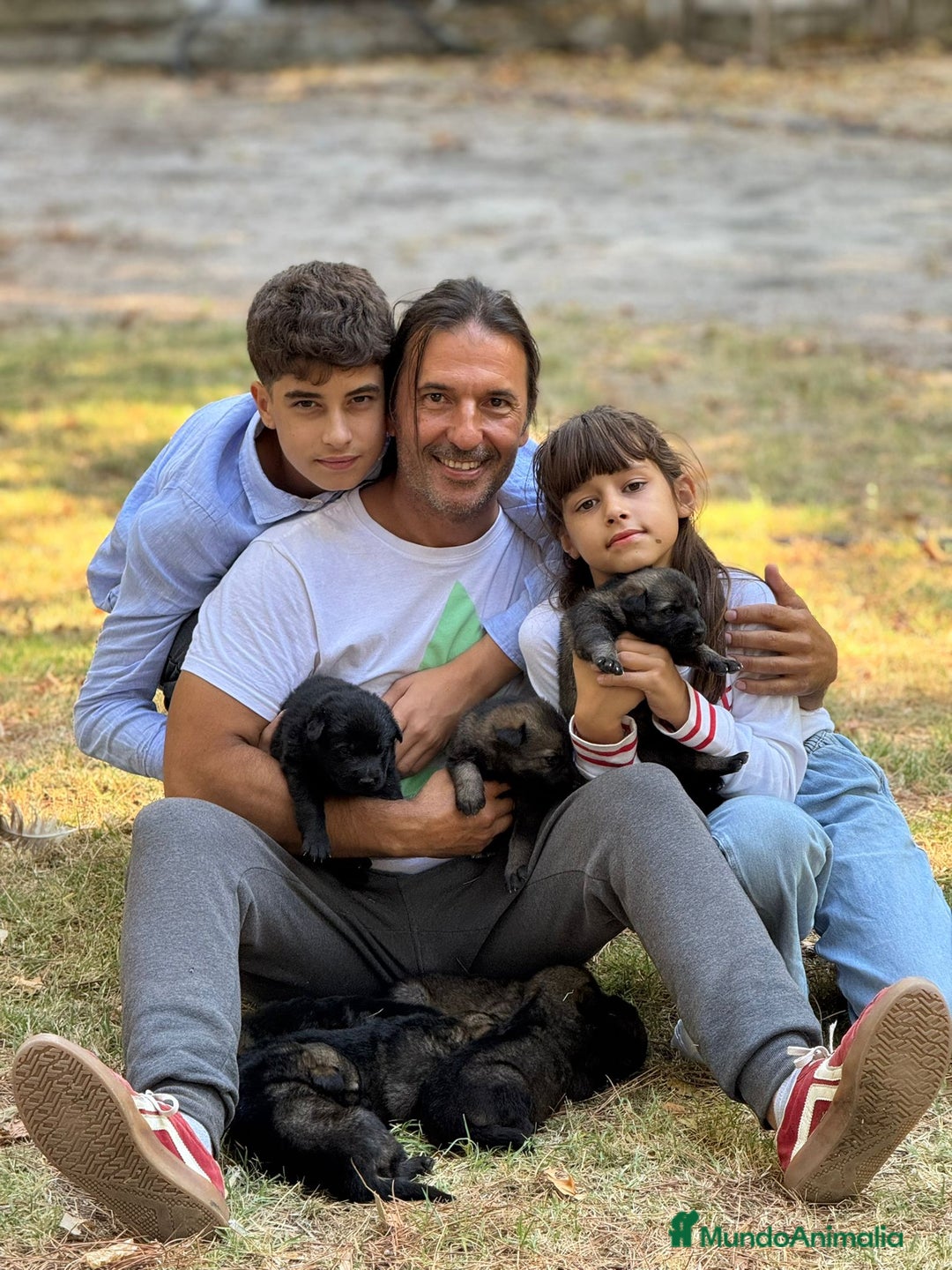 Pastor Alemán perros en venta: Camada Vom Zarental  - Anuncio 4