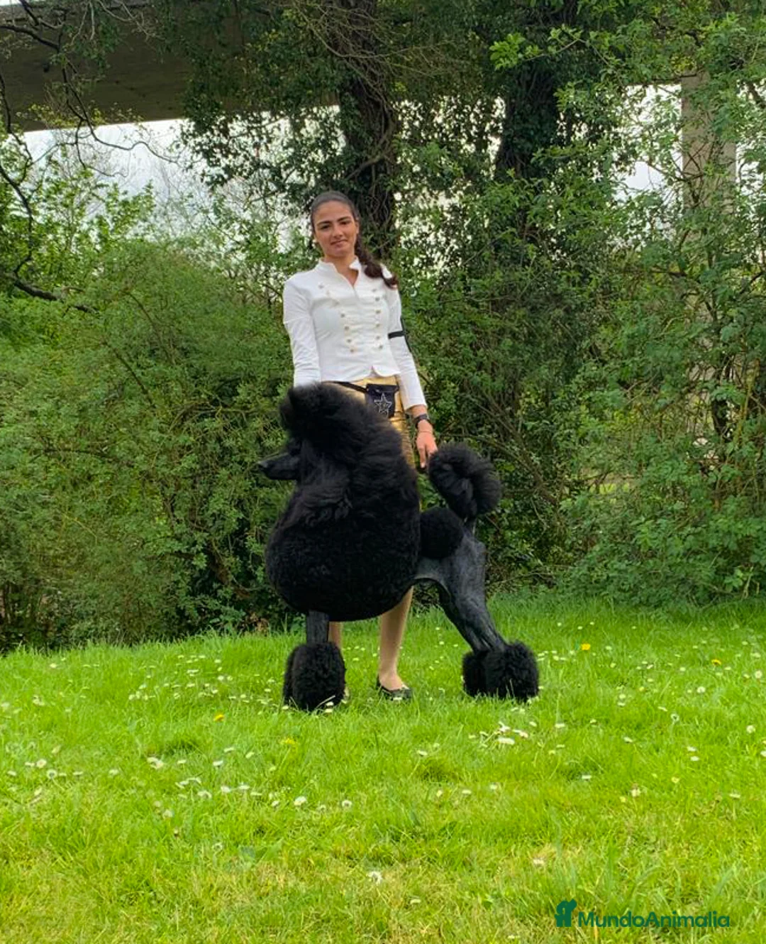 Imagen de galería {{count}}