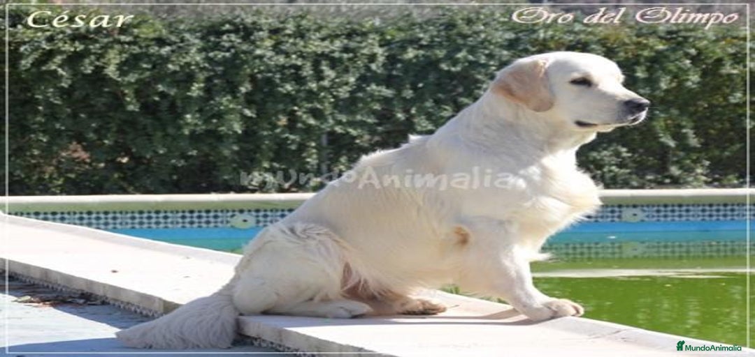 Imagen de galería {{count}}