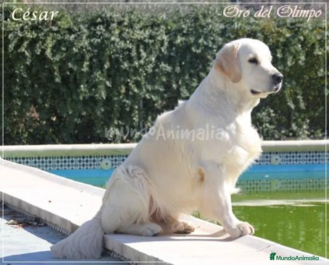 Imagen de galería {{count}}