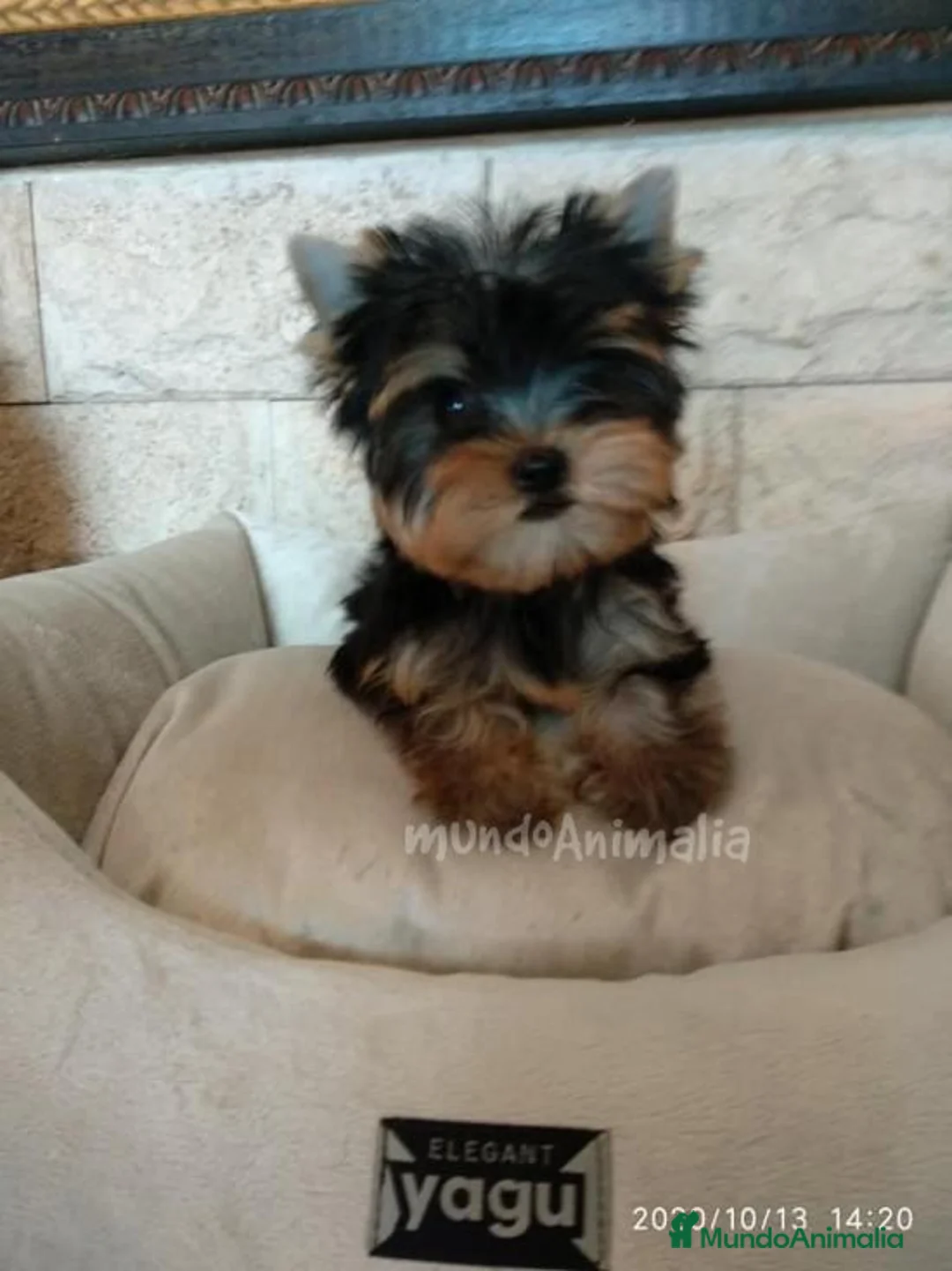 Imagen de galería {{count}}