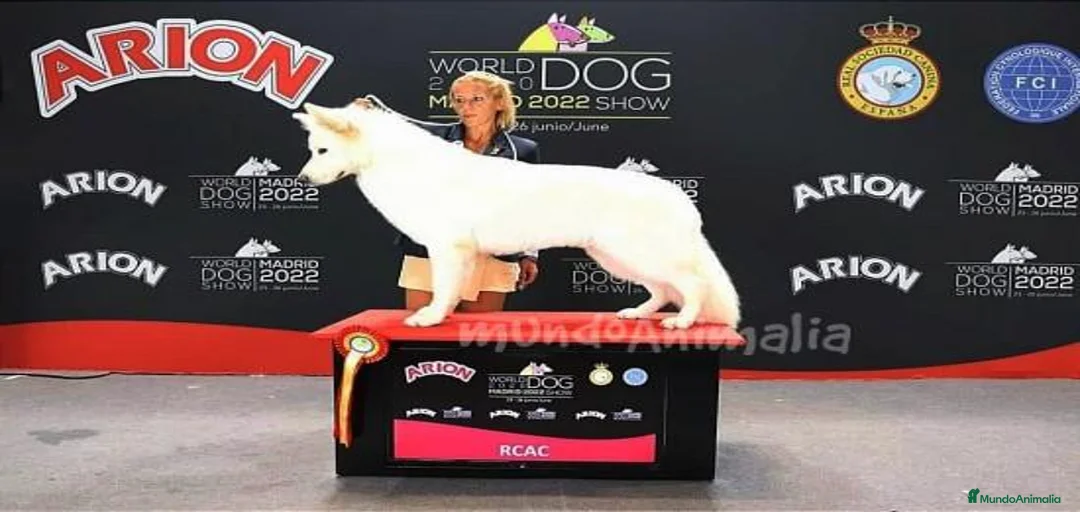 Imagen de galería {{count}}