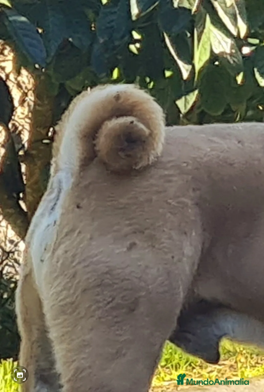 Imagen de galería {{count}}