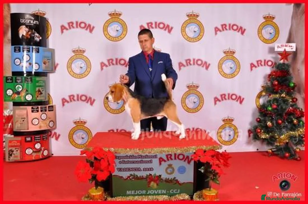 Imagen de galería {{count}}