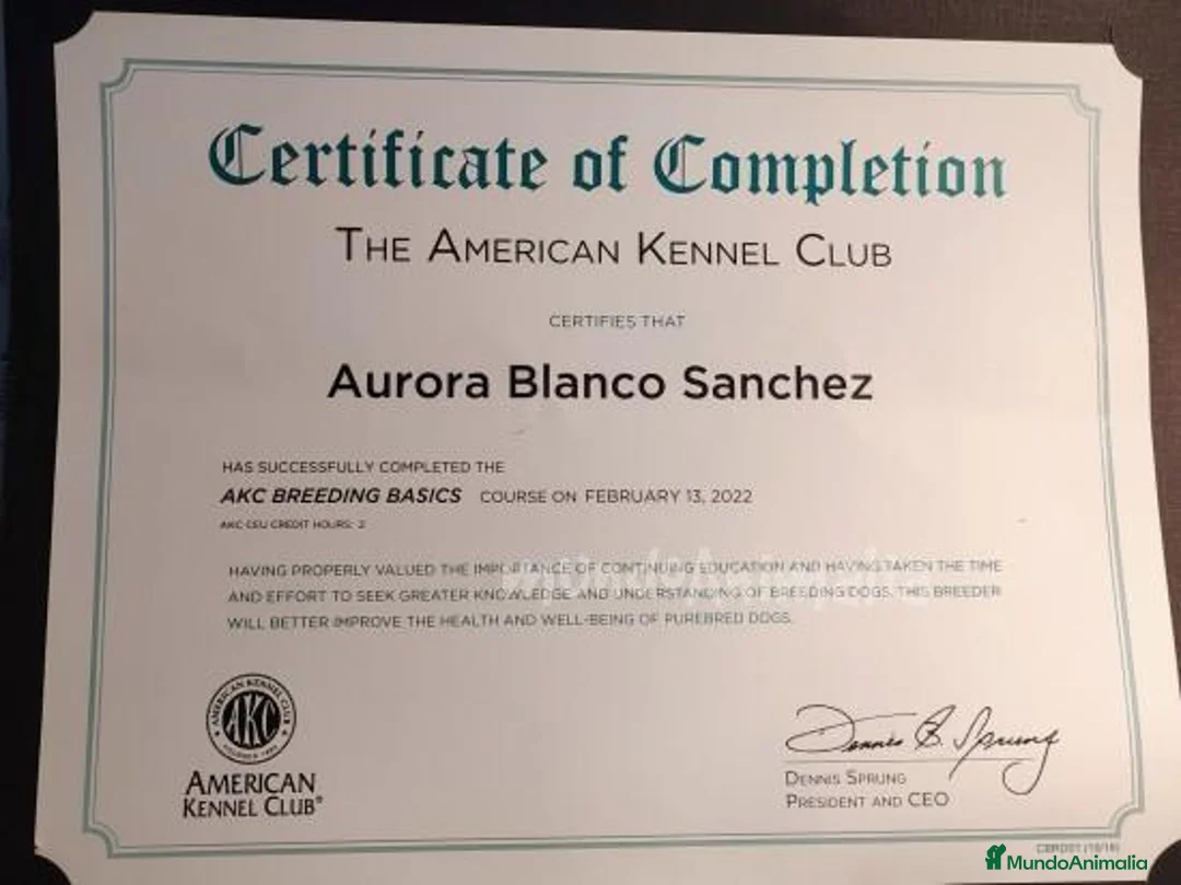 Imagen de galería {{count}}