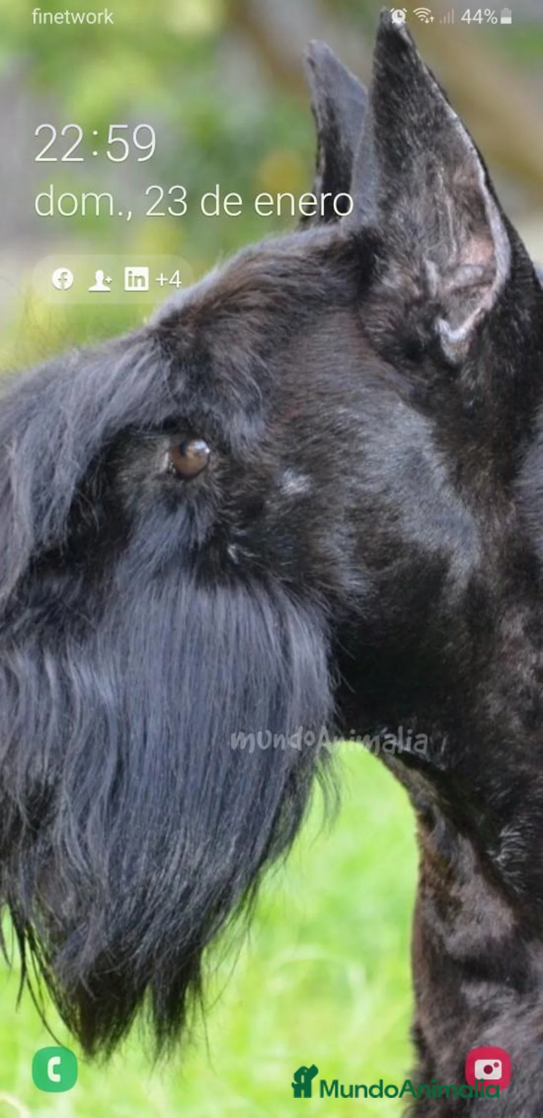 Imagen de galería {{count}}