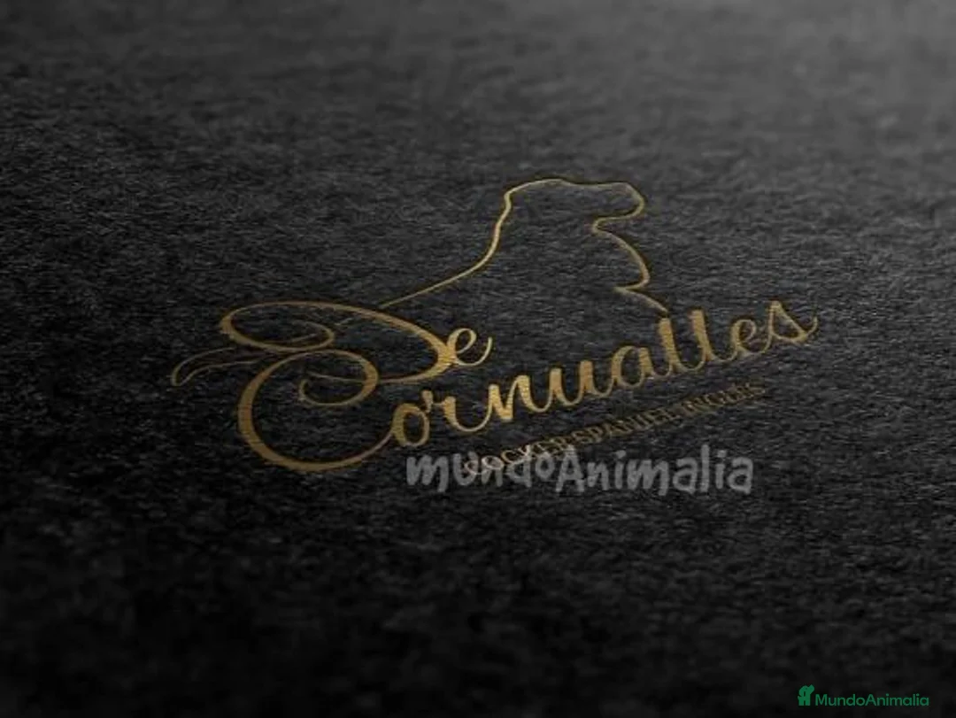 Imagen de galería {{count}}