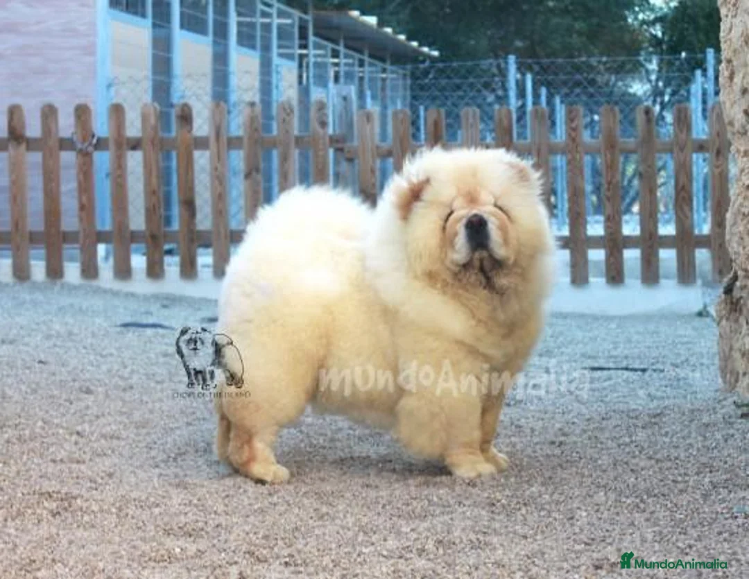 Imagen de galería {{count}}