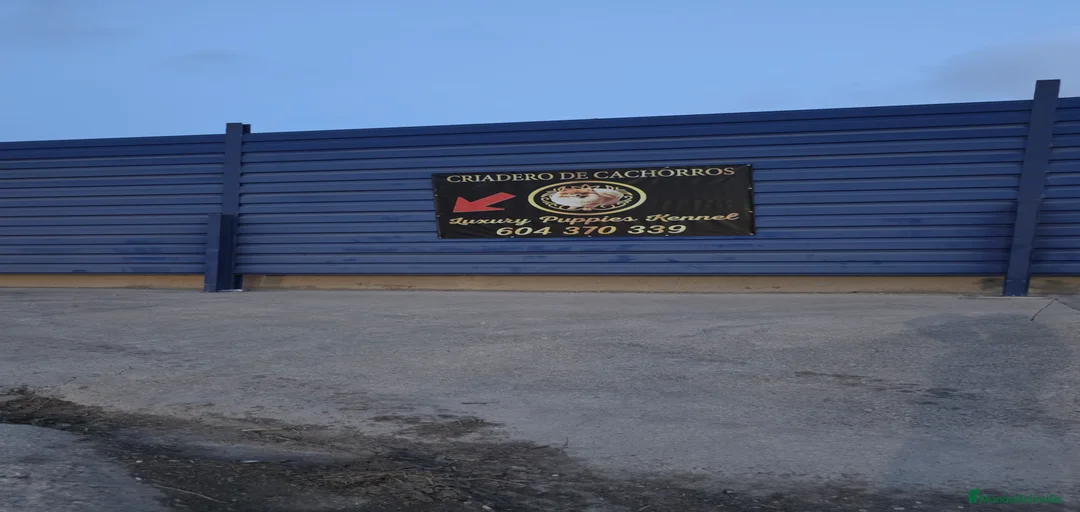 Imagen de galería {{count}}